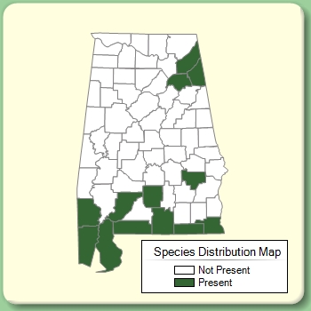 Species Distribution Map