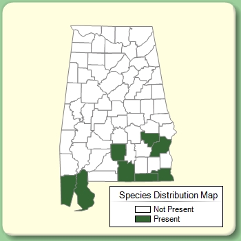 Species Distribution Map