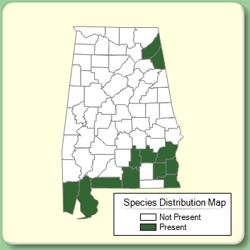 Species Distribution Map