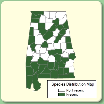 Species Distribution Map