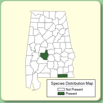 Species Distribution Map