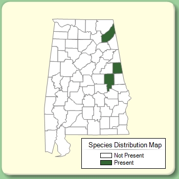 Species Distribution Map