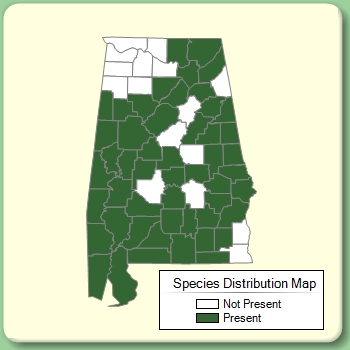 Species Distribution Map