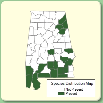 Species Distribution Map