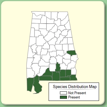 Species Distribution Map