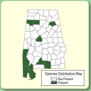 Species Distribution Map