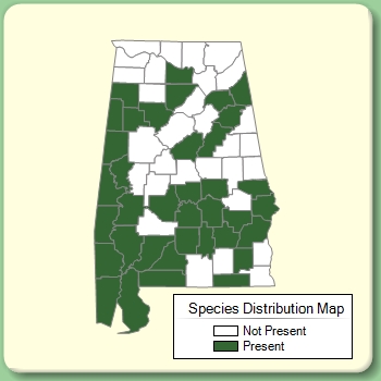 Species Distribution Map