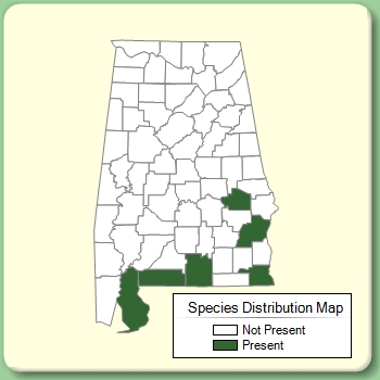 Species Distribution Map