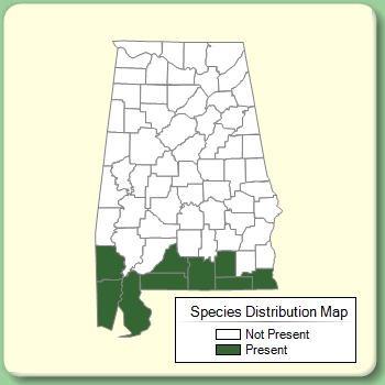 Species Distribution Map