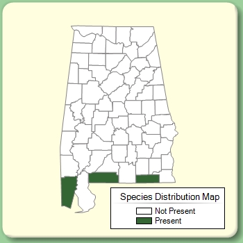 Species Distribution Map