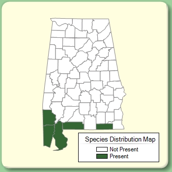 Species Distribution Map