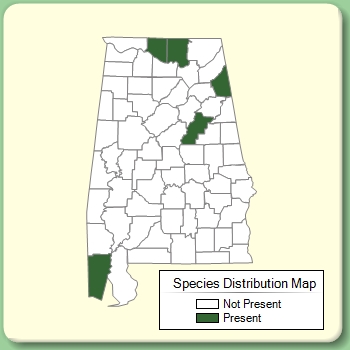 Species Distribution Map