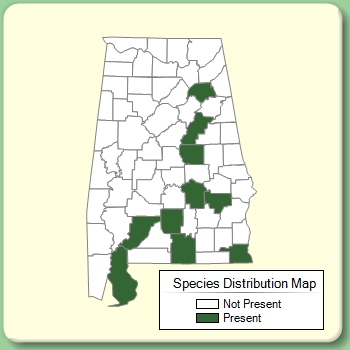 Species Distribution Map