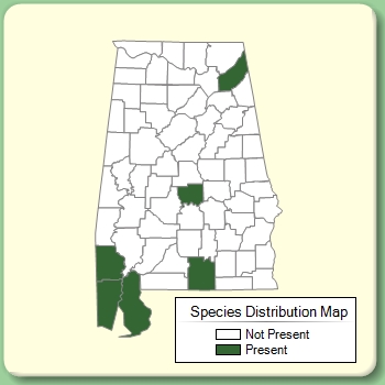 Species Distribution Map