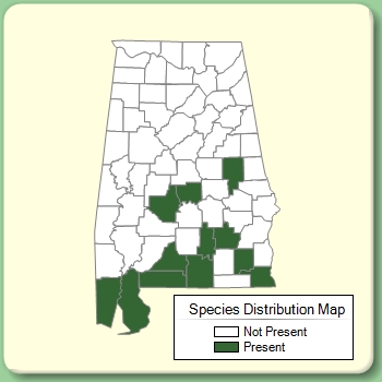 Species Distribution Map