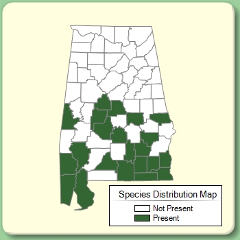 Species Distribution Map