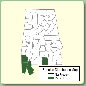 Species Distribution Map