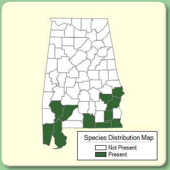 Species Distribution Map