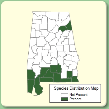 Species Distribution Map