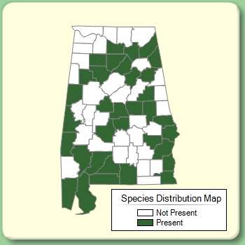 Species Distribution Map