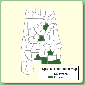 Species Distribution Map