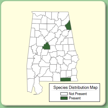 Species Distribution Map