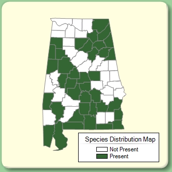 Species Distribution Map