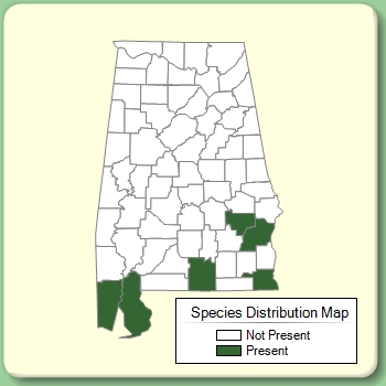 Species Distribution Map