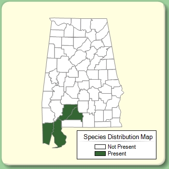 Species Distribution Map