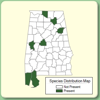 Species Distribution Map