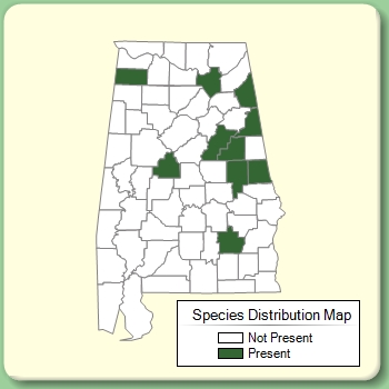 Species Distribution Map