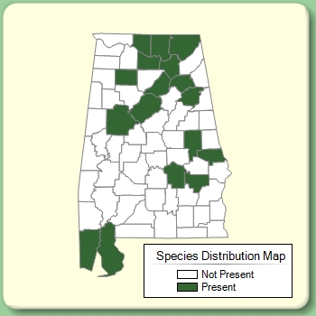 Species Distribution Map