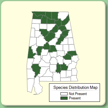 Species Distribution Map