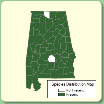 Species Distribution Map