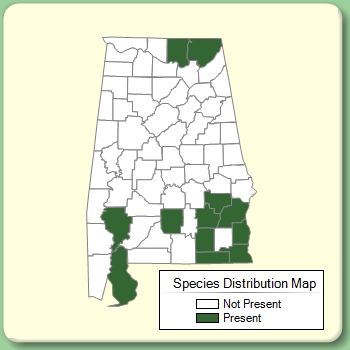 Species Distribution Map