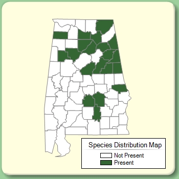 Species Distribution Map