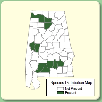 Species Distribution Map