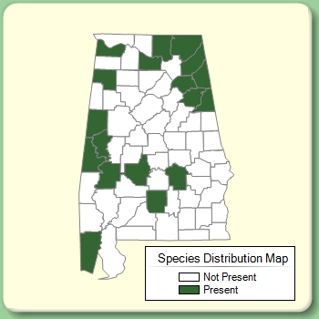 Species Distribution Map