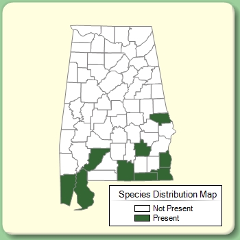 Species Distribution Map