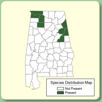 Species Distribution Map