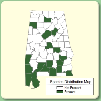 Species Distribution Map