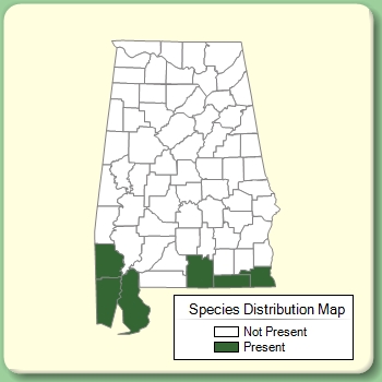 Species Distribution Map