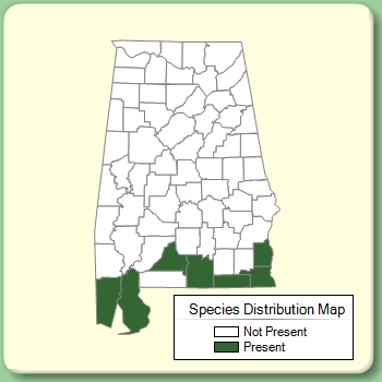 Species Distribution Map