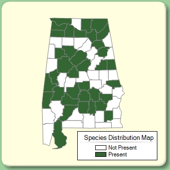 Species Distribution Map