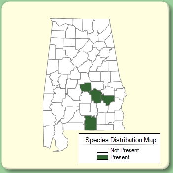 Species Distribution Map