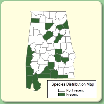 Species Distribution Map