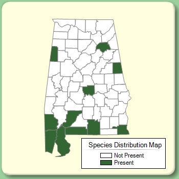 Species Distribution Map