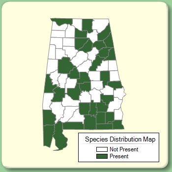 Species Distribution Map