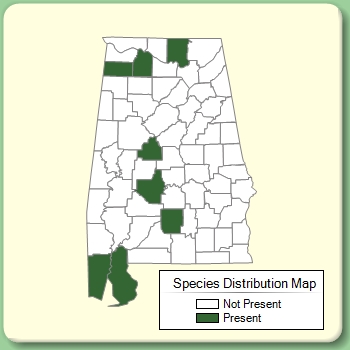 Species Distribution Map