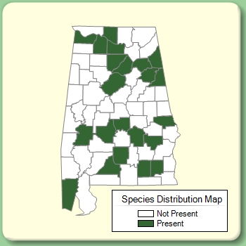 Species Distribution Map